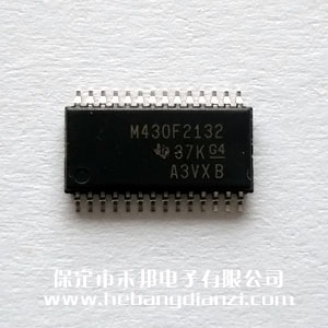 MSP430F2132IPW